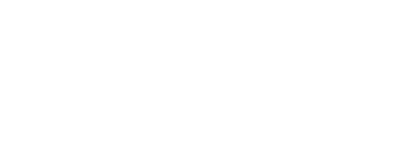 Boat Mobile Store